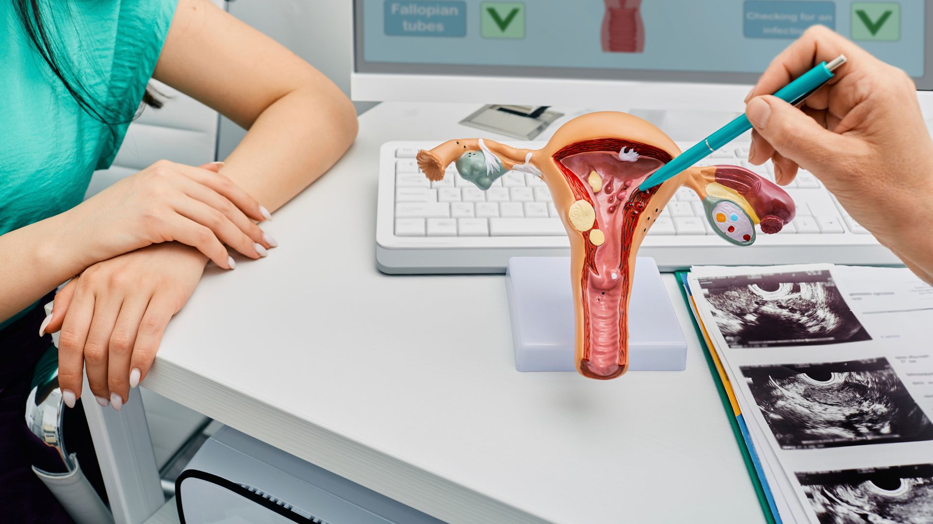 Gynaecology EMR Interface