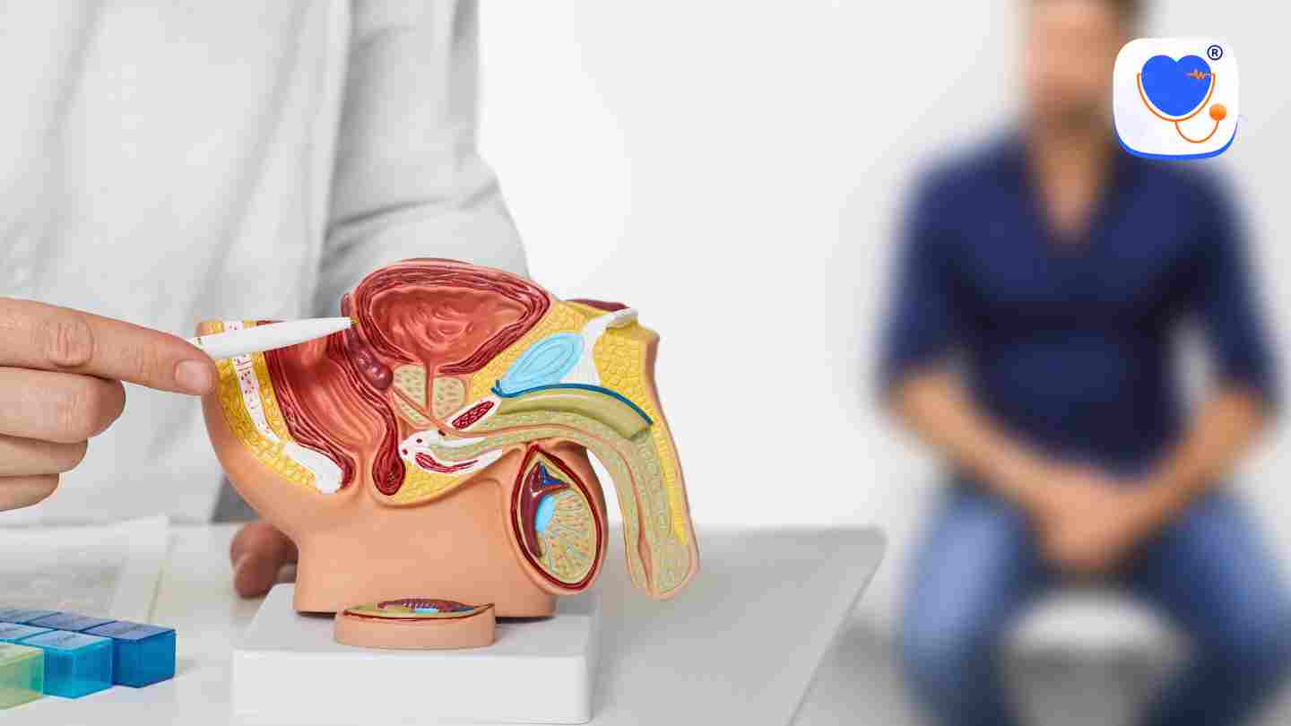 Urologist EMR Interface