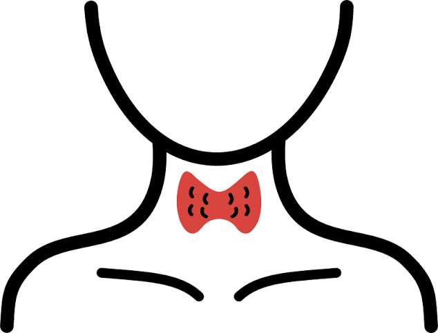 Thyroid Disease