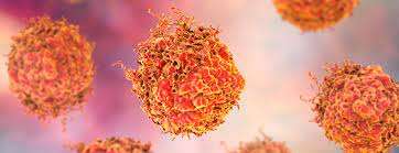 Hormone Therapy