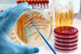 Microbiology