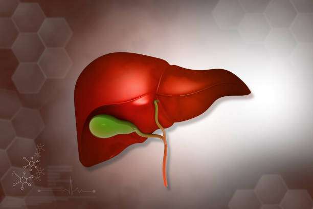 Hepato-Biliary